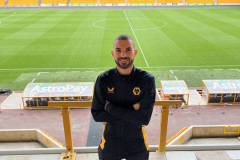 WOLVES STADIUM